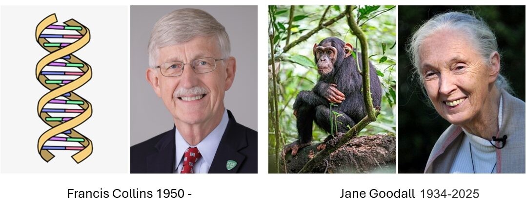 Two great christian biologists, Collins and Goodall